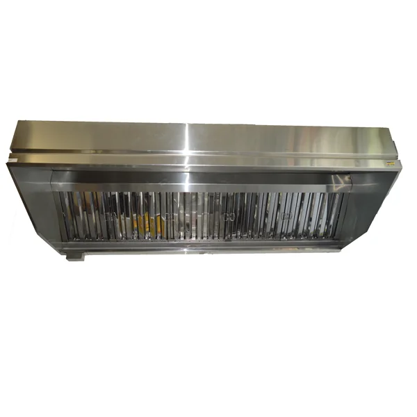 Campana acero inoxidable con filtro 8`