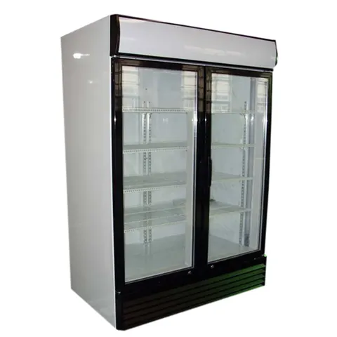 Nevera exhibidor Goldpremium dos puertas