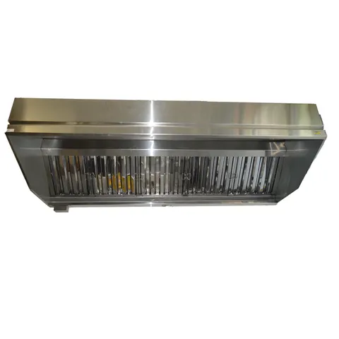 Campana acero inoxidable con filtro 8`